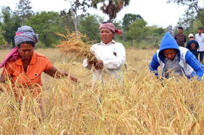 cambodia-adb-loan-rural-banking-featured-image