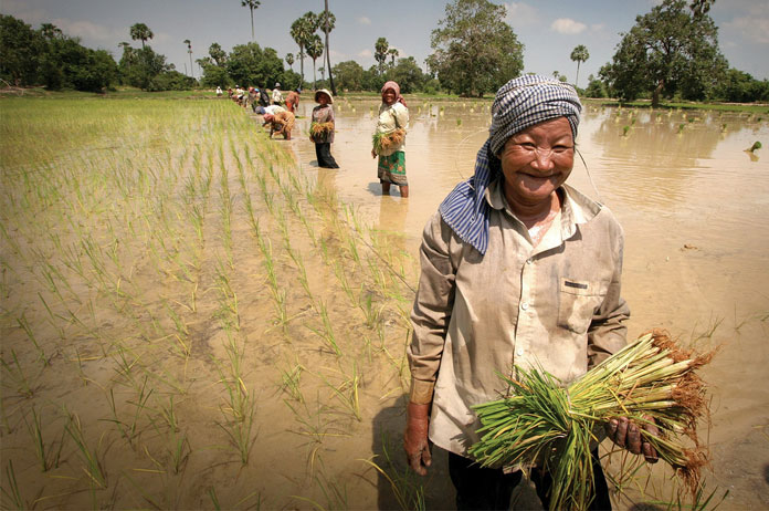 cambodia-rice-farmer-loan-repayment-pm-featured-image
