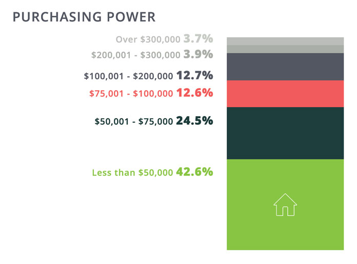infograph-purchasing-power