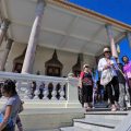 cambodia tourism training experts annual 50,000