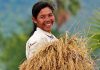 Cambodian Agro-Industry Federation