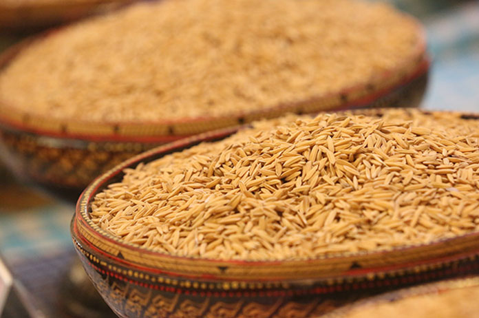 Rice Exports Cambodia