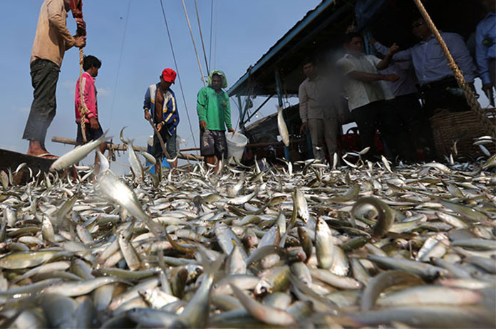 Cambodian Aqua Culturist Association (CAA)