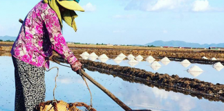 Cambodia Salt GI