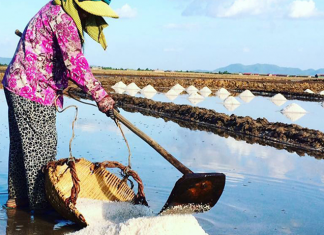 Cambodia Salt GI