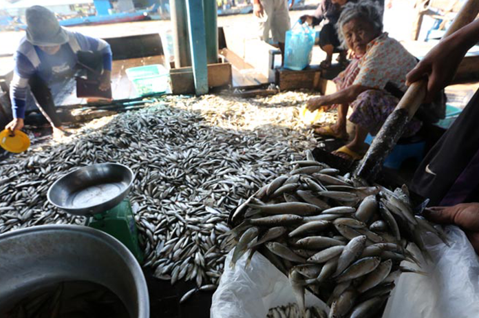 Cambodia Fisheries