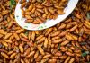 Edible Insects Cambodia