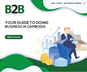 B2B 300×250