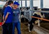 Khmer Fresh Milk Co Ltd