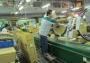 Cambodian Bicycle Exports Remain Strong in 2021