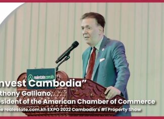 EXPO 2022 - Overview of the Cambodian Market: Driving Factors for Local and Multinational Investors in Cambodia