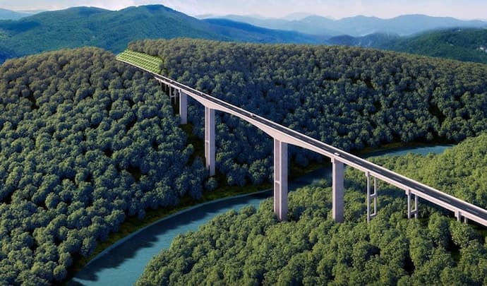 Cambodia bridges