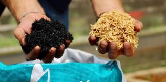 New Biochar Production Facility Funded In Cambodia