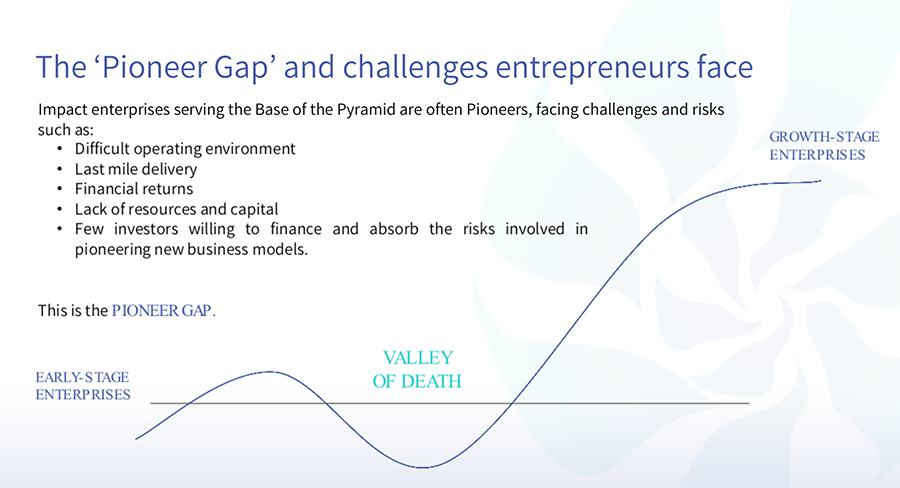 The Pioneer Gap and startup Valley of Death - presentation slide by Priya Thachadi, from CAMESCO 2023