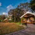 Cardamom Tented Camp Joins The Long Run