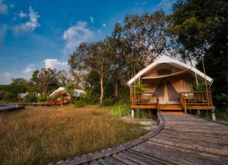 Cardamom Tented Camp Joins The Long Run
